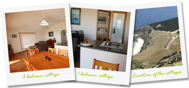 cottage-collage2